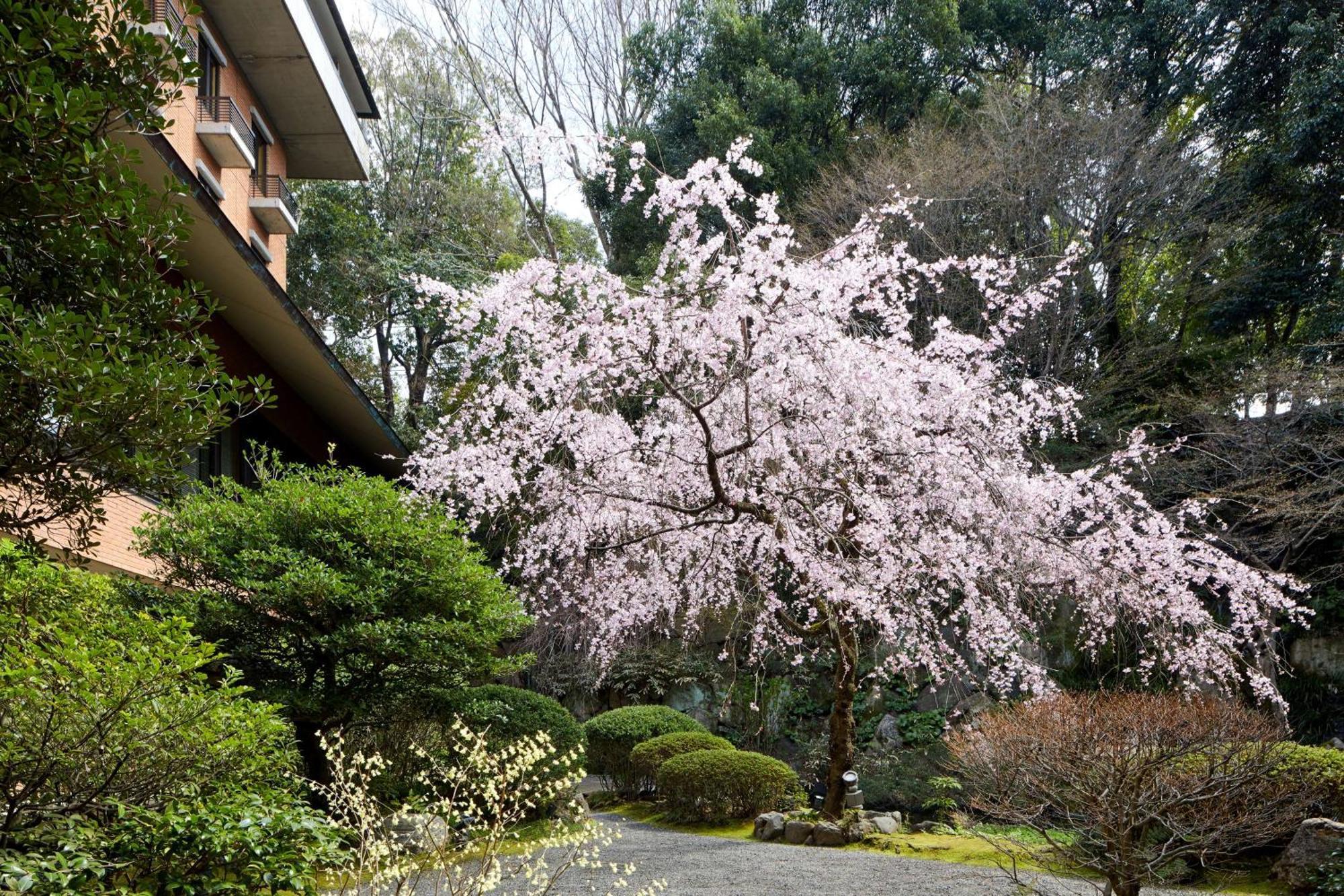 Hyatt Regency Kyoto Hotel Exterior foto